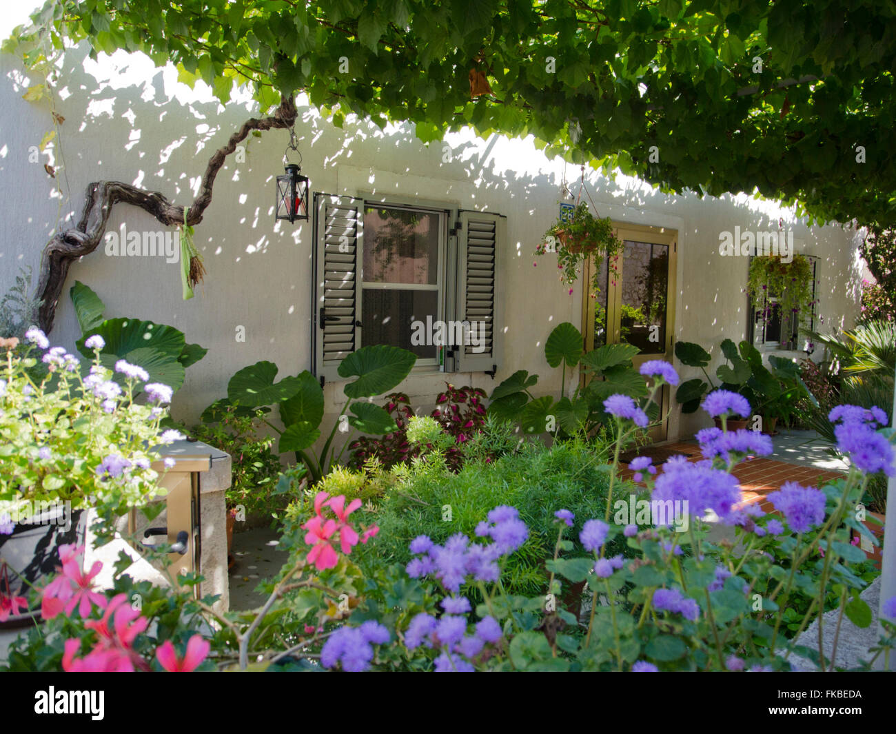 Kroatien Insel Losinj Veli Losinj Garten Auf Der Blumeninsel