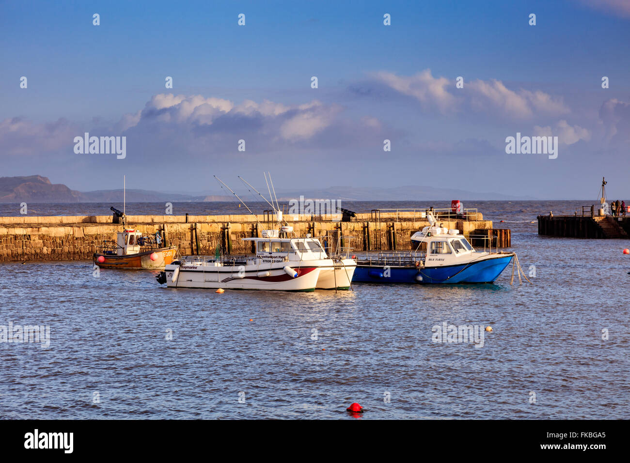 Lyme Regis harbour with fishing boats moored in the harbour. Stock Photo