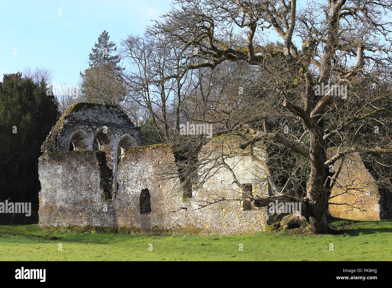 Waverley Abbey ruins, Surrey, England Stock Photo