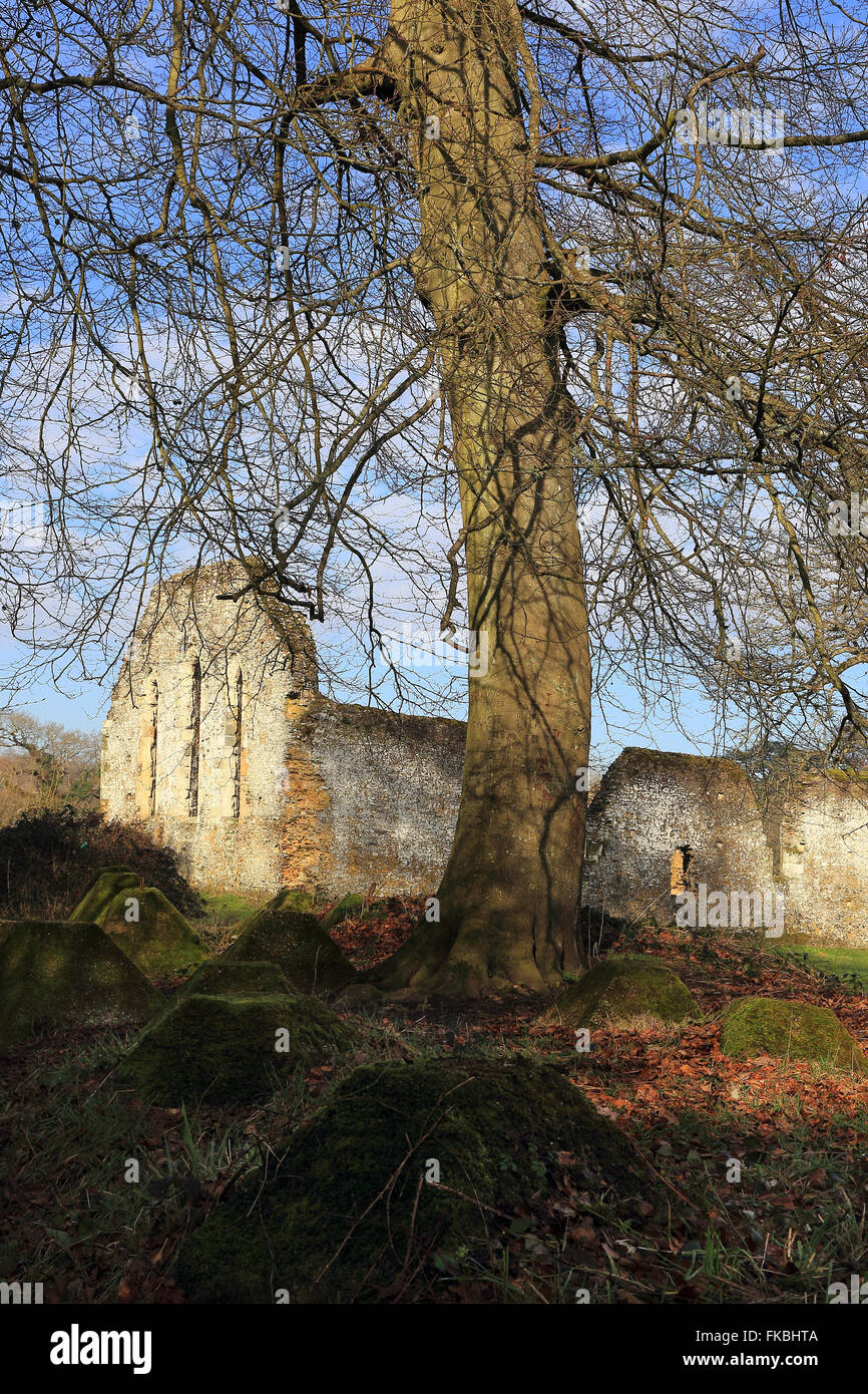 Waverley Abbey ruins and anti-tank blocks, Surrey, England Stock Photo