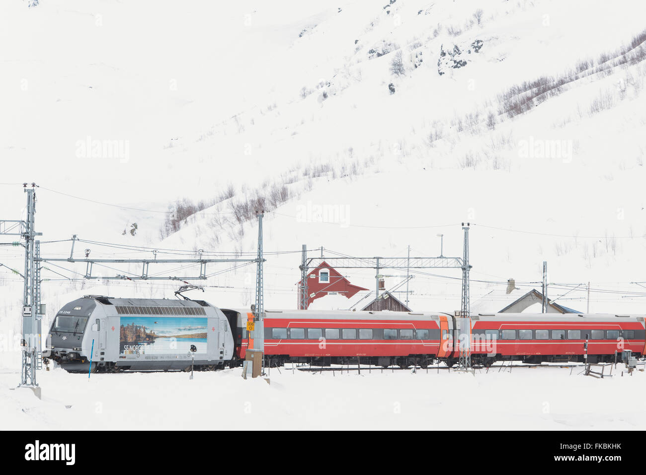 A train arrives at Myrdal station, Norway, on the Bergen line. Stock Photo