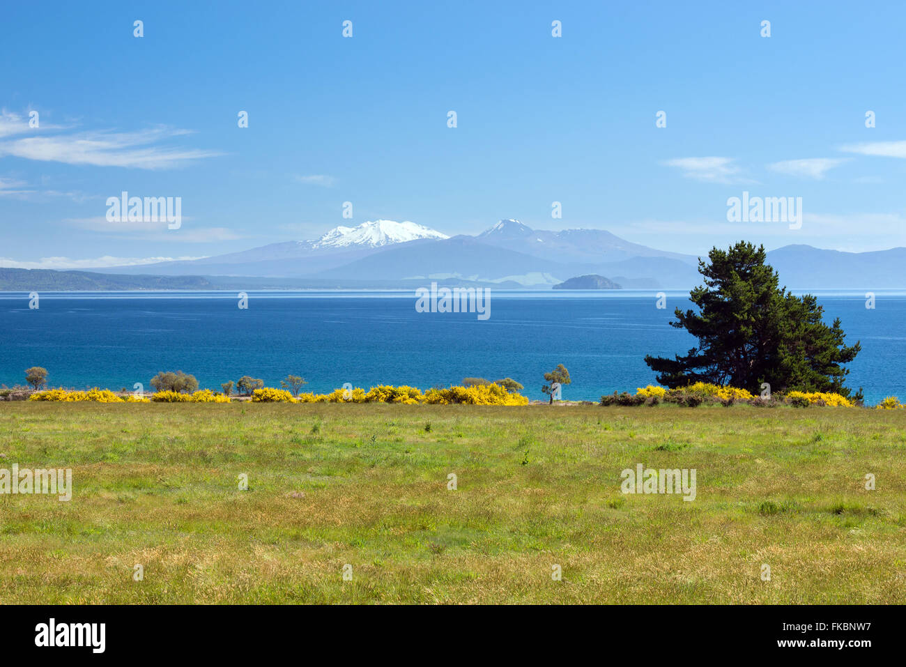 Taupo landscape hires stock photography and images Alamy