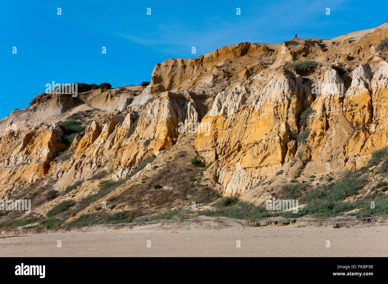 Natural Monument Cliffs of the Asperillo, Donana natural park, Almonte, Huelva province, Region of Andalusia, Spain, Europe Stock Photo