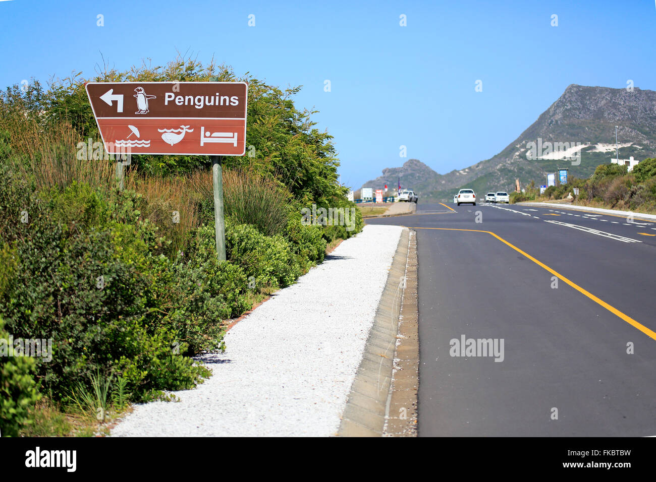 Signpost to penguins and whalewatch, roadsign, direction to penguins, direction to whale watch, Betty's Bay, Western Cape, South Africa, Africa Stock Photo