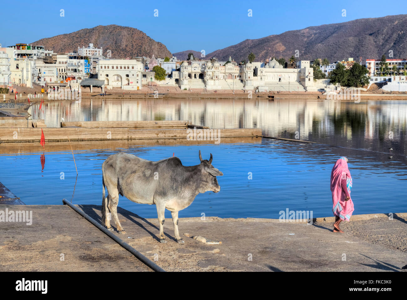 Pushkar, Ajmer, Rajasthan, India, Asia Stock Photo