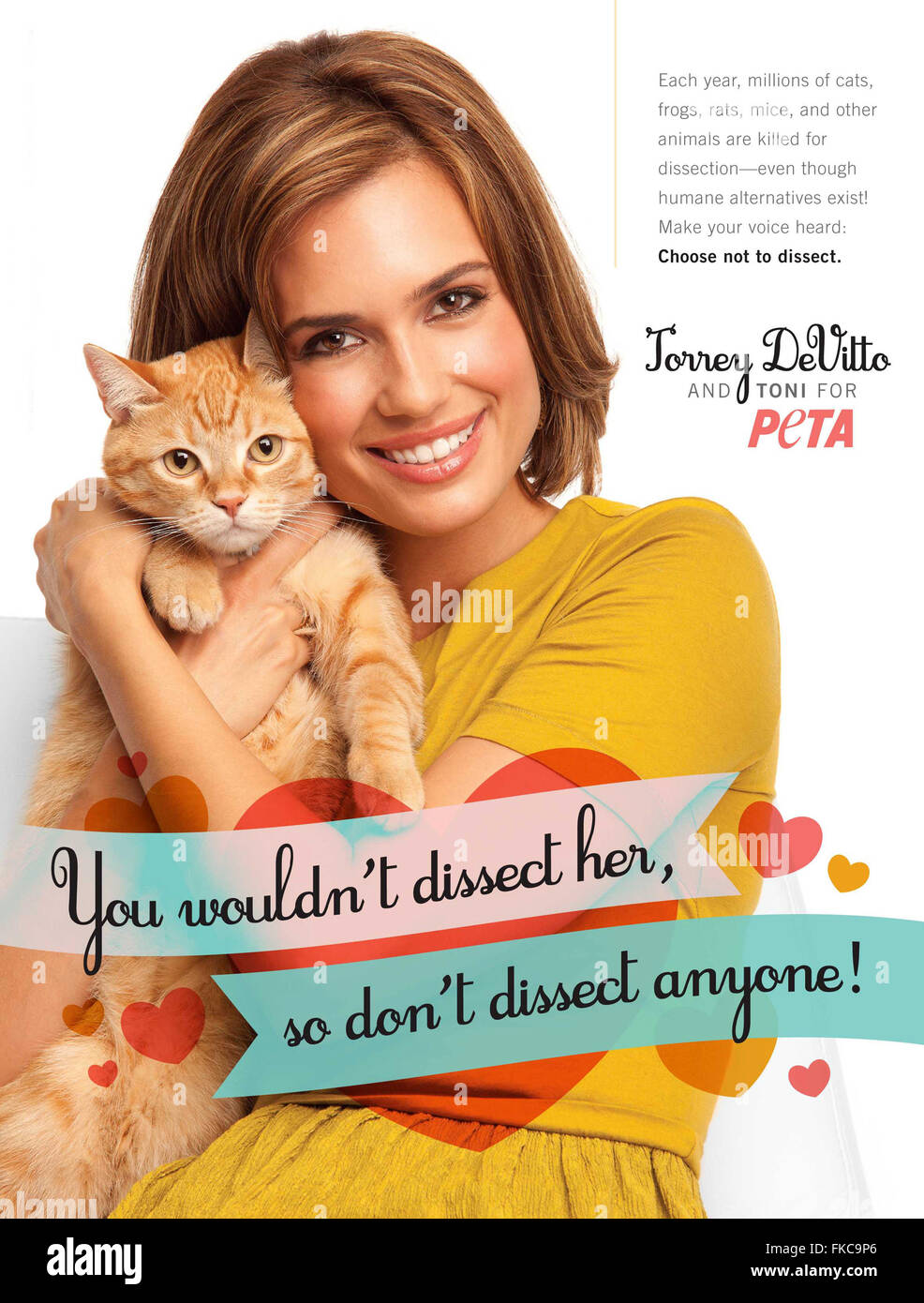 Peta animal testing hi res stock photography and images Alamy