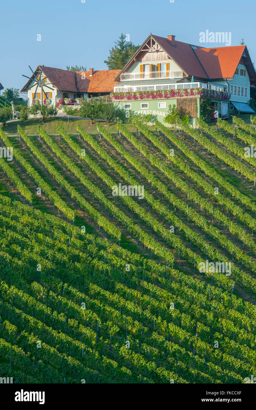 Österreich, Steiermark, Bezirk Leibnitz, an der Südsteirischen Weinstrasse südlich von Gamlitz Stock Photo
