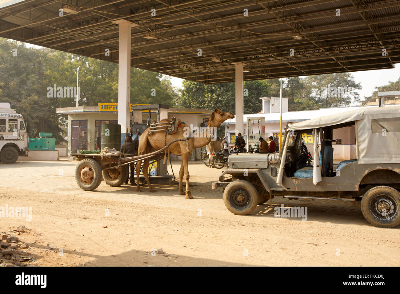 Camel drawn cart at a petrol station, India Stock Photo