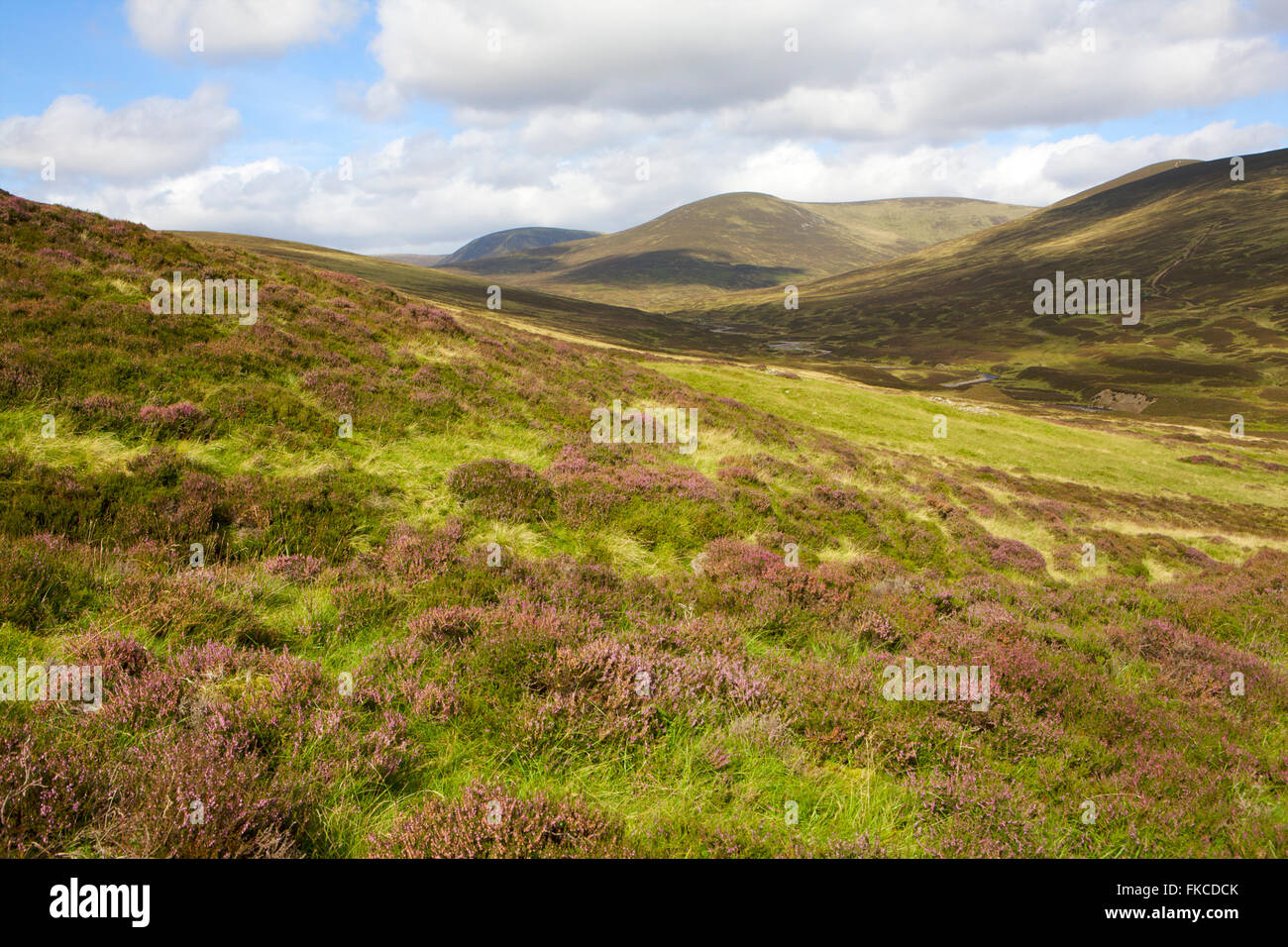 Scottish moorland Stock Photo