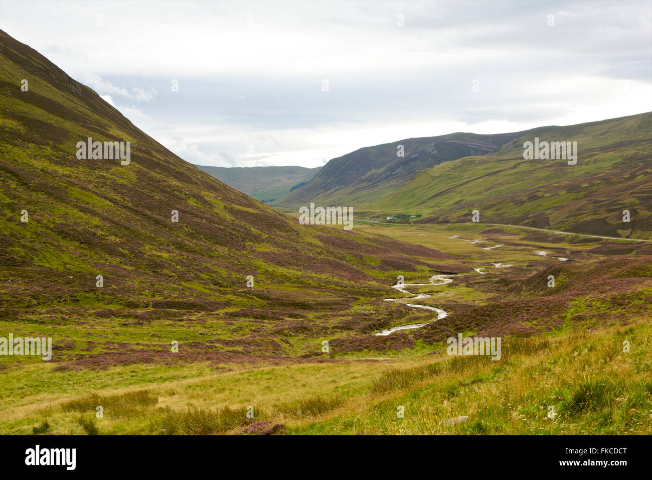 Scottish moorland Stock Photo