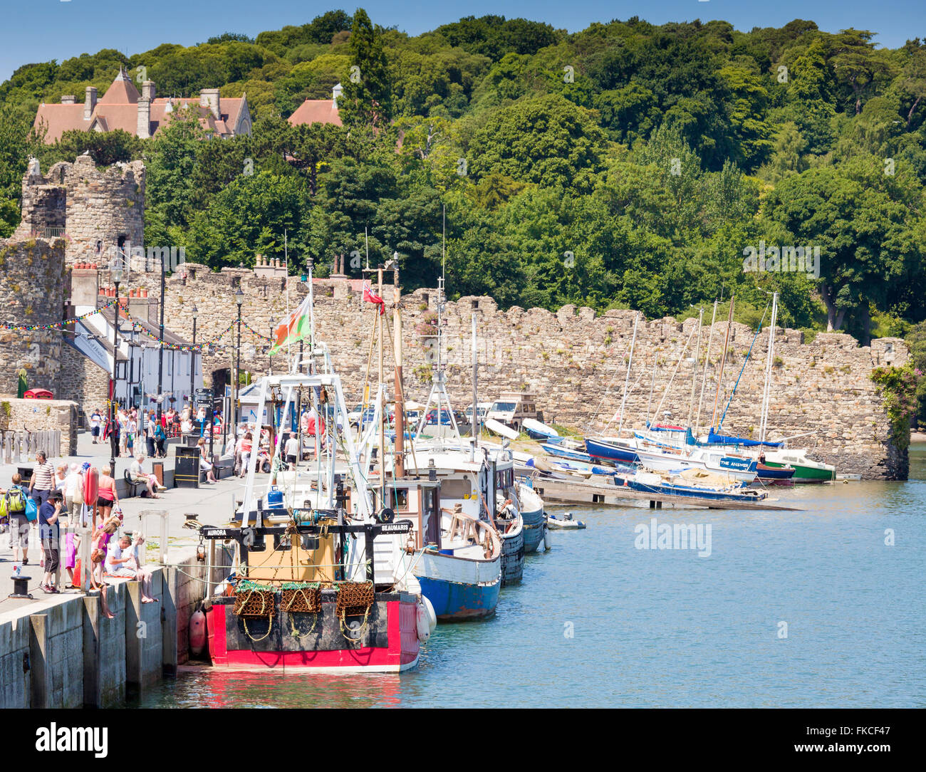 Boats moored in Conwy harbour, with the medieval town walls rising in the background. Stock Photo