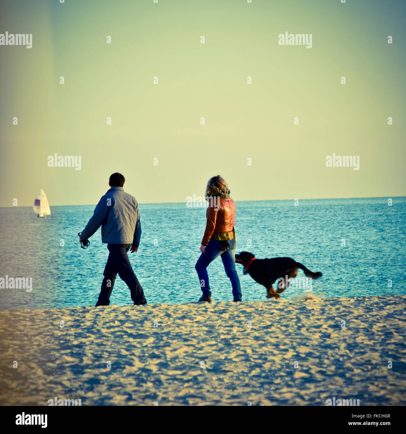 Couple with dog on a beach Stock Photo - Alamy