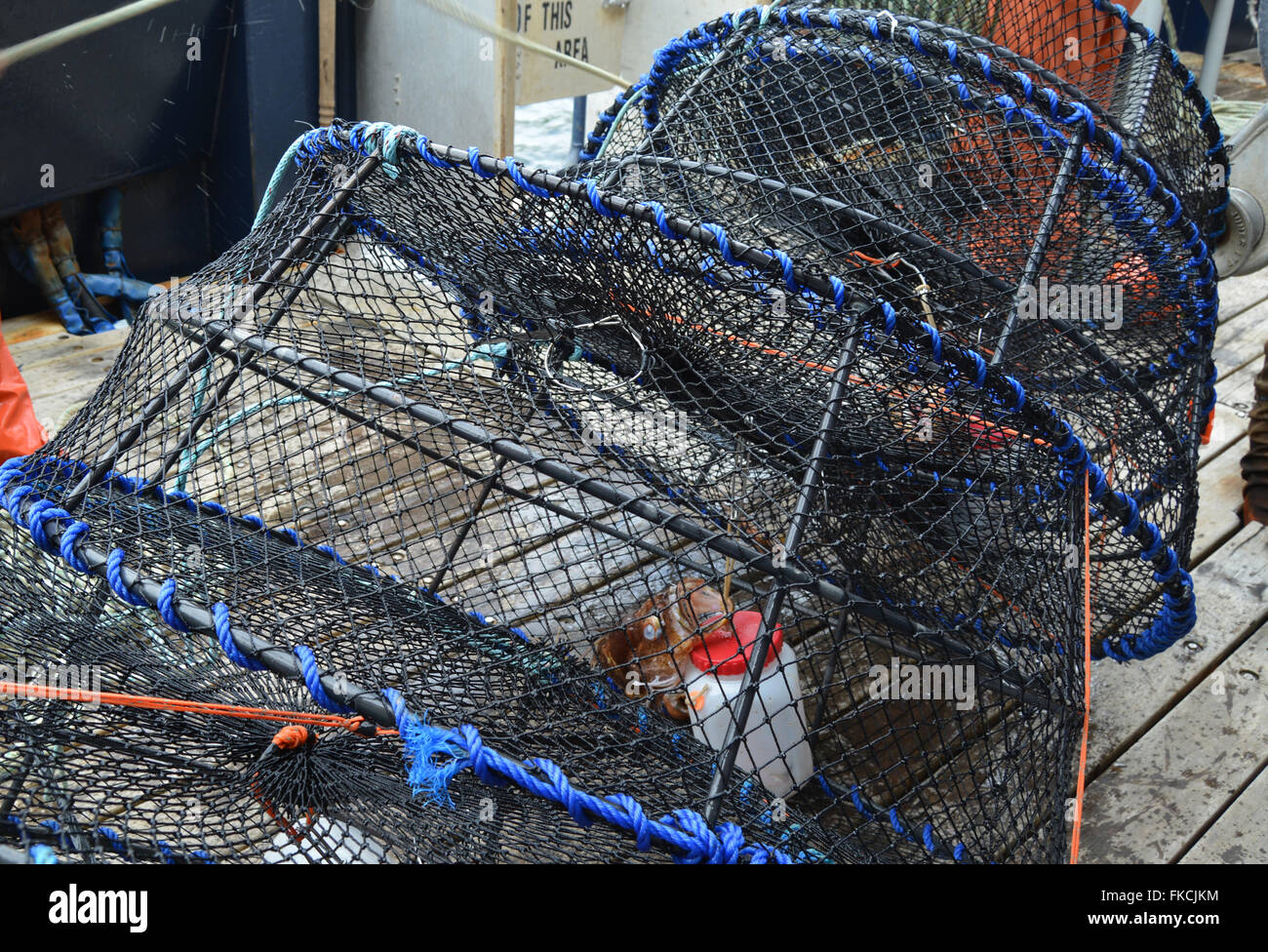 A line of baited shrimp cages is ready to launch into the ocean. Stock Photo