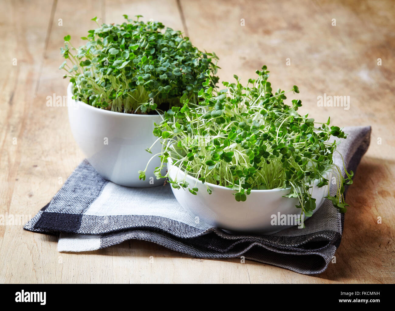 Fresh broccoli and arugula psrout on wooden table Stock Photo