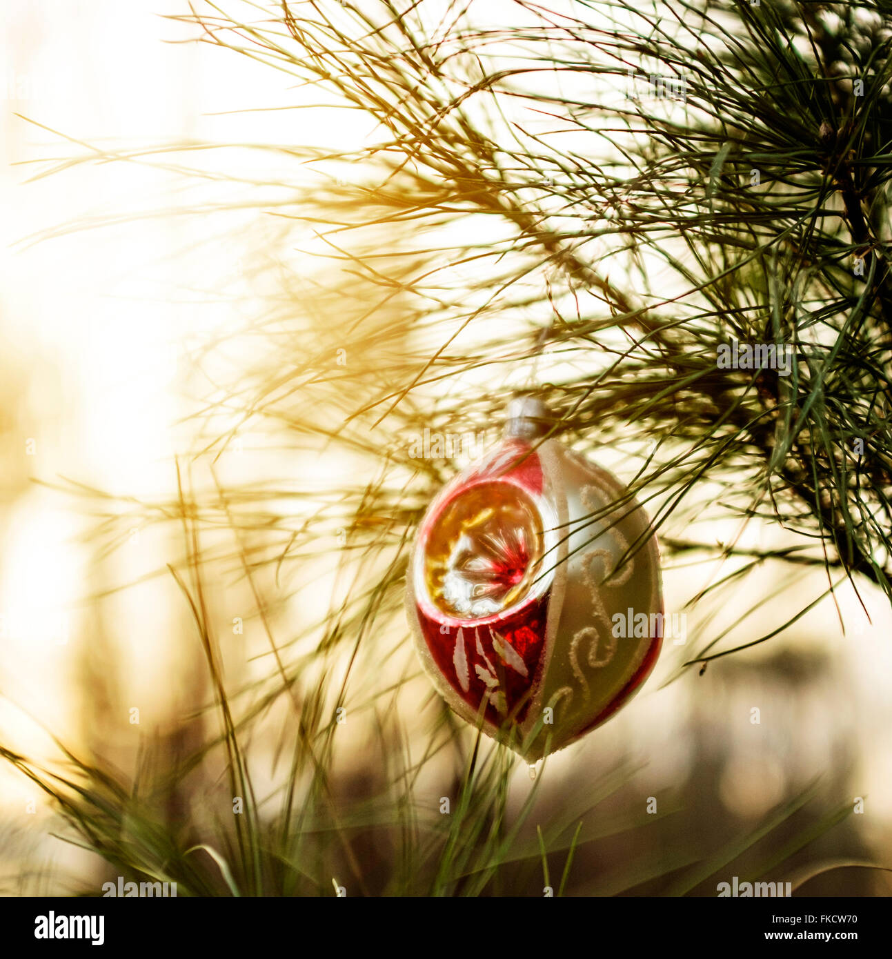 Hanging from tree hires stock photography and images Alamy