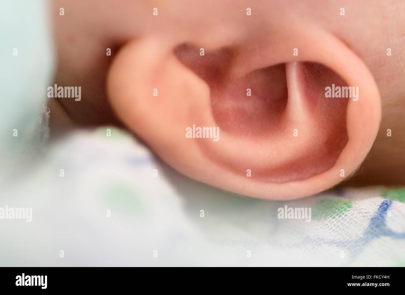 Close-up of baby boy's (2-5 months) ear Stock Photo