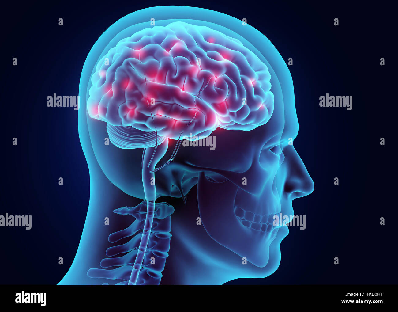 3D illustration brain nervous system active, medical concept Stock ...