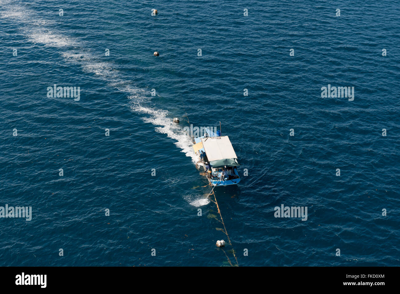 Jewelmer Pearlfarm, cleaner boat cleans ropes and oyster cages Stock Photo