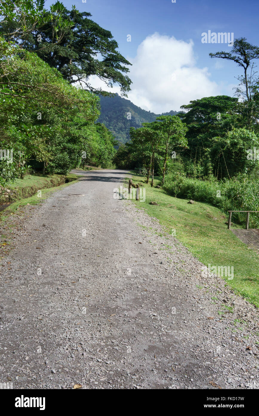 Empty road passing through forest, Costa Rica Stock Photo