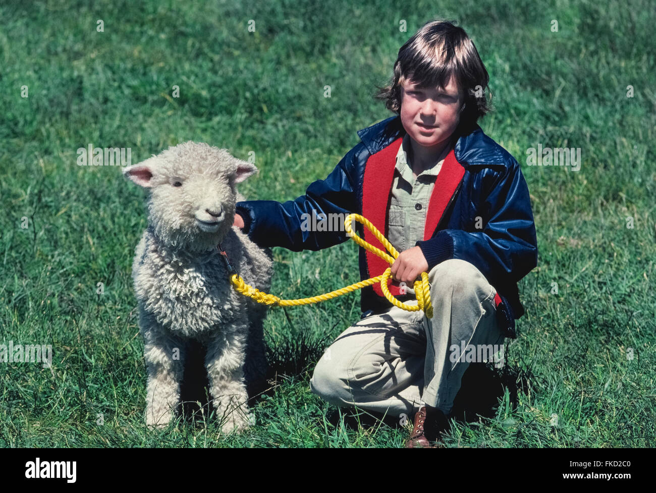 A young boy poses with his pet lamb on the family sheep farm in Timaru on the South Island of New Zealand. New Zealand's sheep population has dropped to about 30 million (2015) but that nation's iconic farm animal still outnumbers its people six to one. Stock Photo