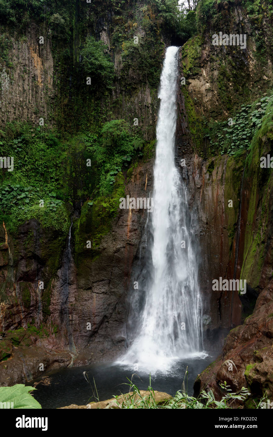 View of La Fortuna Waterfall in a forest, Alajuela Province, Costa Rica Stock Photo