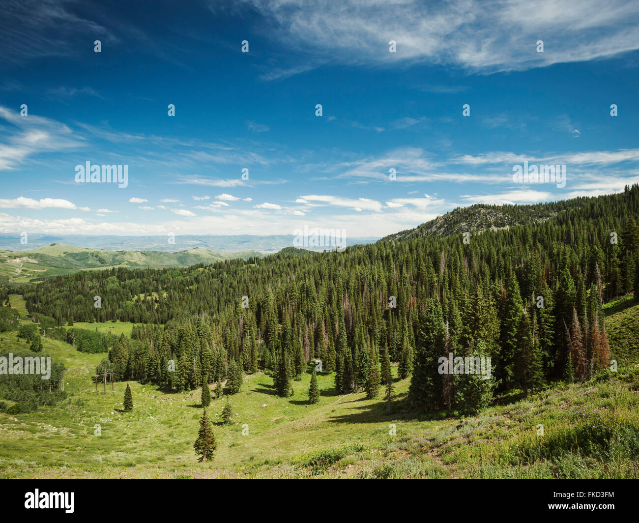 Scenic urban mountain hi-res stock photography and images - Alamy