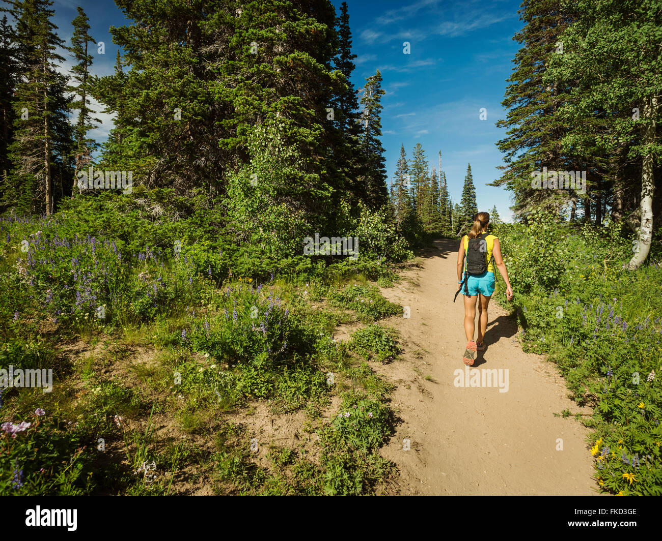 Rear view mature woman in hi-res stock photography and images - Alamy
