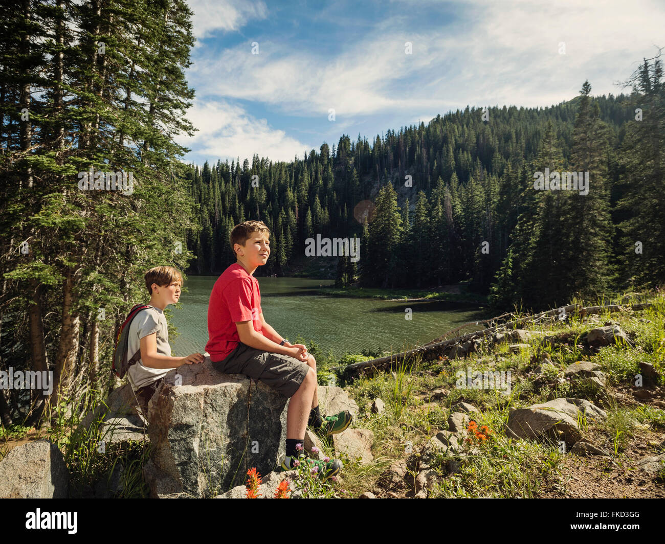 Two boys (10-11, 12-13) resting in forest Stock Photo