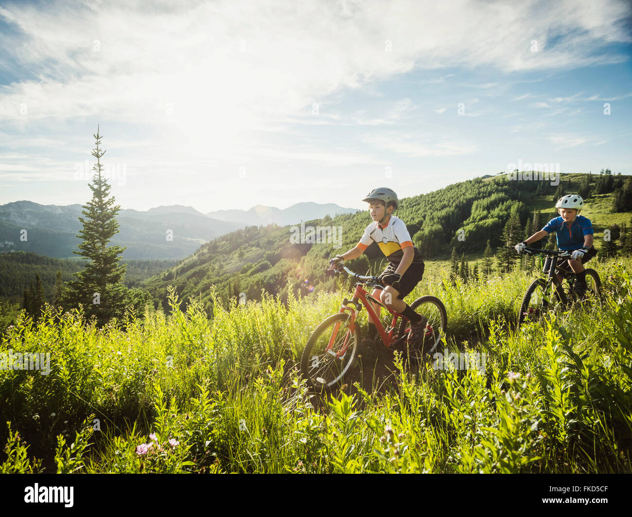 Boys (10-11, 12-13) during bicycle trip in mountain scenery Stock Photo