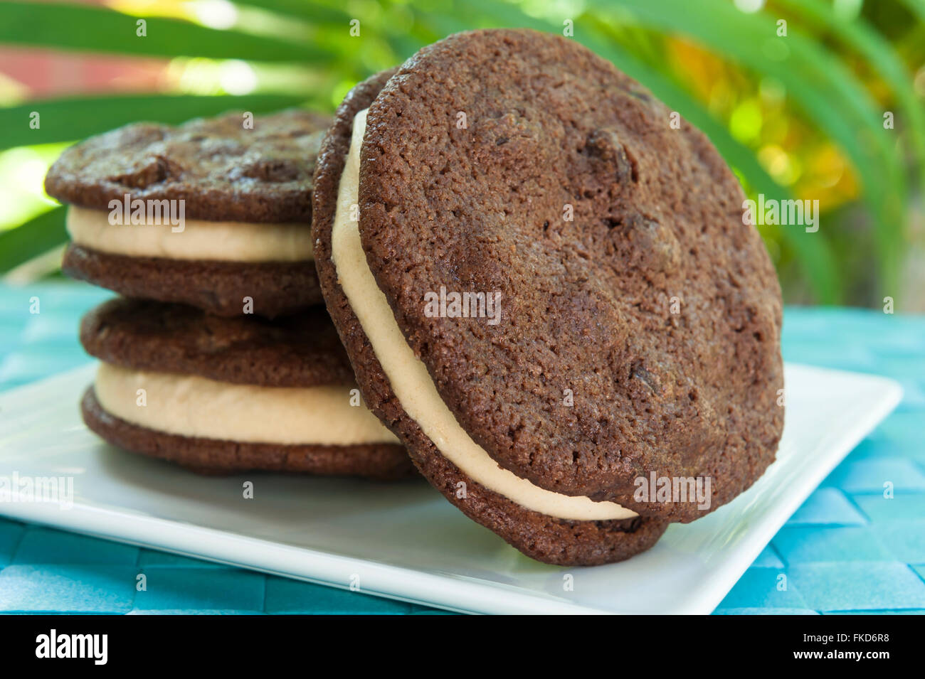 Ice cream Sandwich - double chocolate chip cookie with peanut butter ice cream with tropical background Stock Photo
