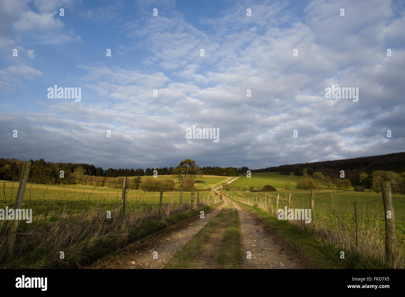 A country track leading into the distance through fields, just before sunset. Stock Photo