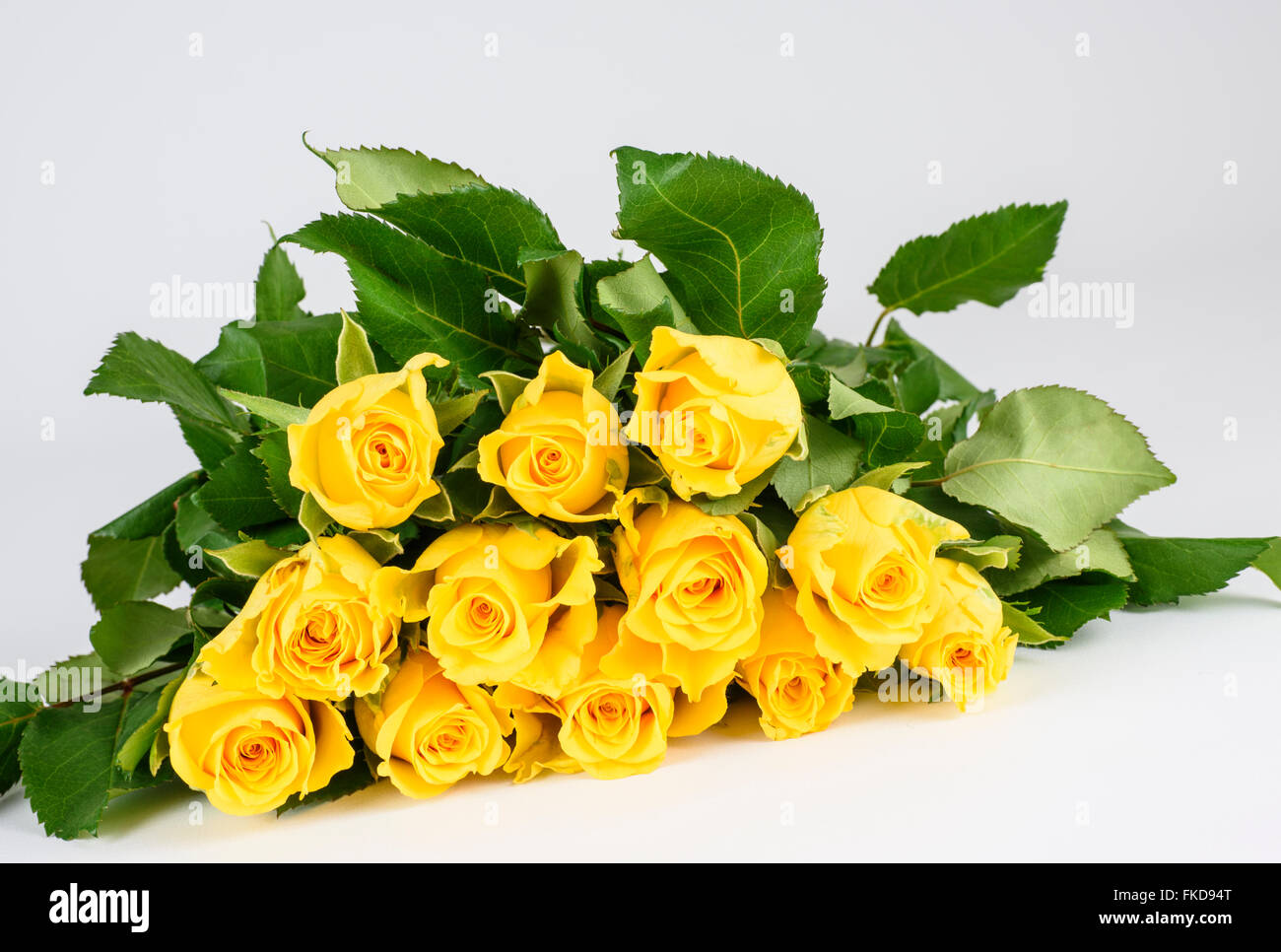 Bunch of fresh yellow roses lying flat on a white surface Stock Photo
