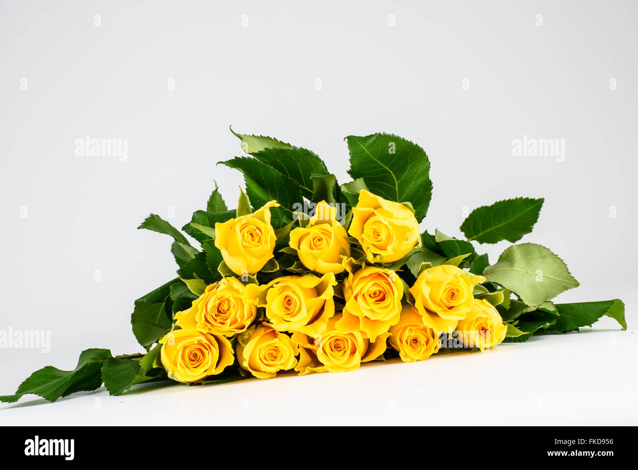 Bunch of fresh yellow roses lying flat on a white surface Stock Photo