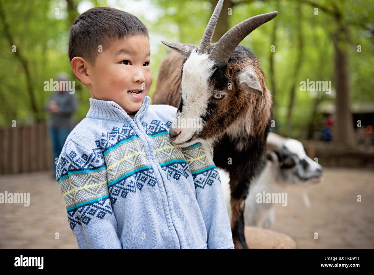 Goat sniffing on boy's shirt at Munich's Tierpark Hellabrunn Stock Photo