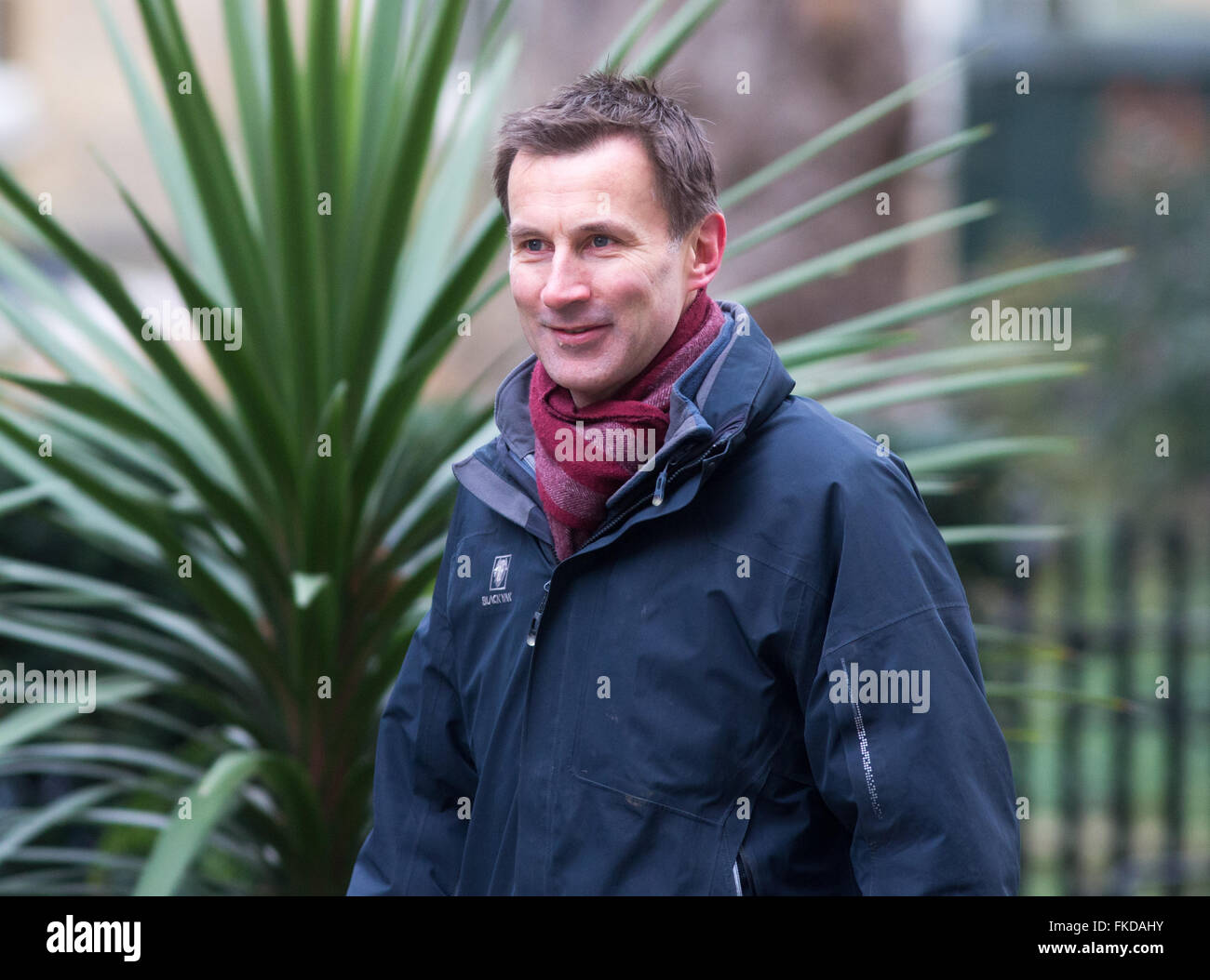 Health secretary,Jeremy Hunt, at Downing street for a Cabinet meeting Stock Photo