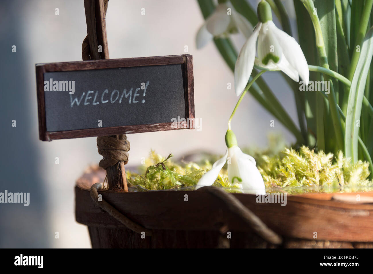 Welcome into the hospitality hi-res stock photography and images - Alamy