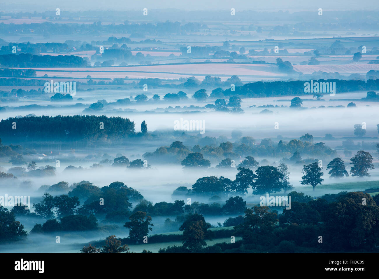 a misty morning in the Blackmore Vale, Dorset, England, UK Stock Photo