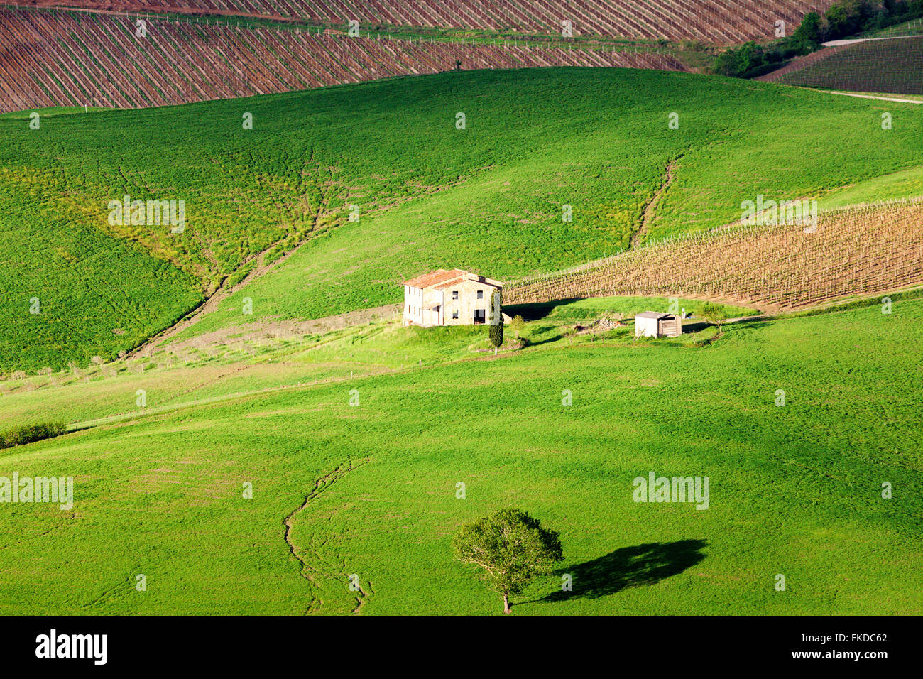 Green rolling landscape with farmhouse Stock Photo