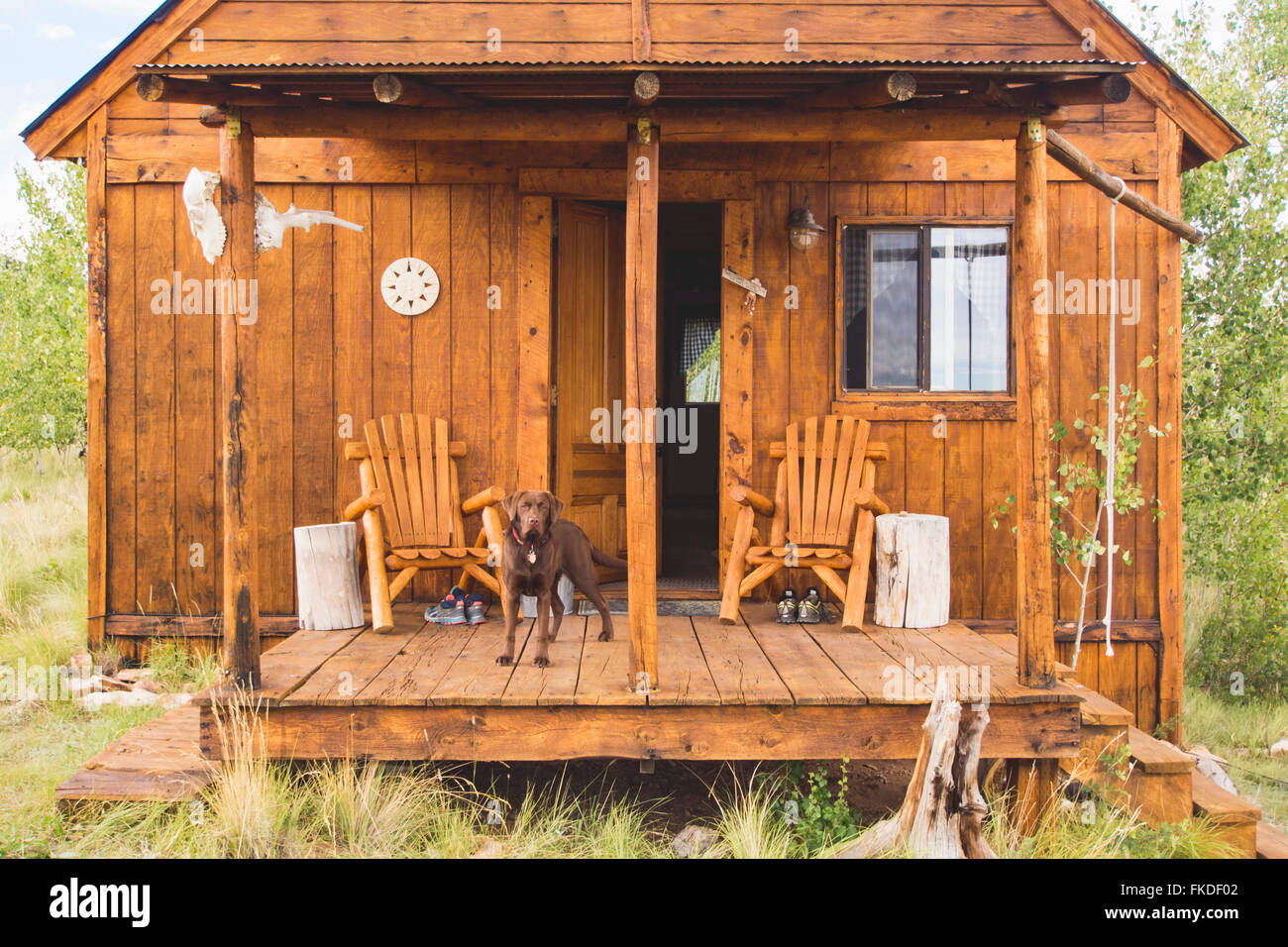 Dog on porch of wooden hut Stock Photo