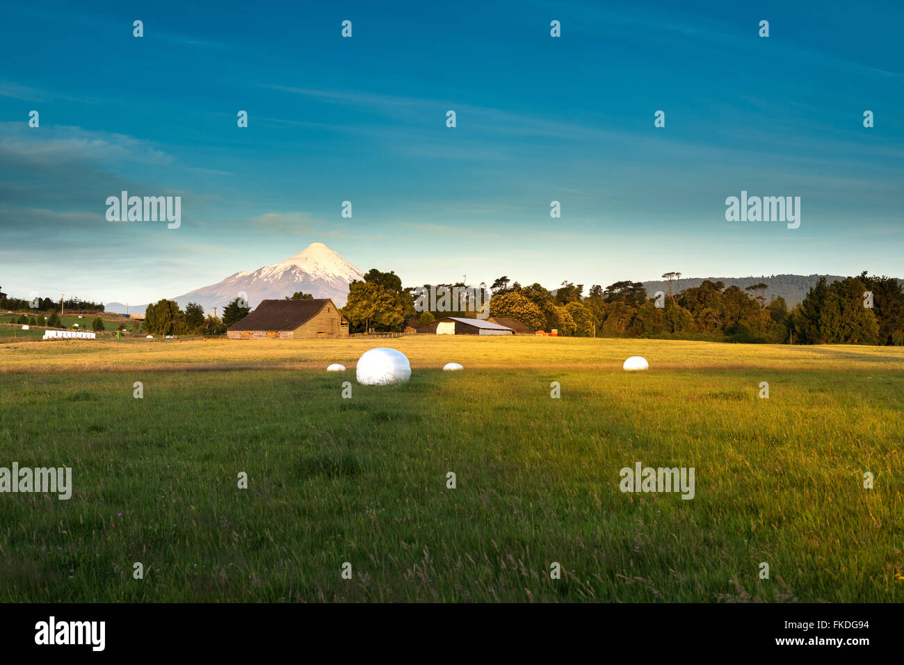 Meadows around the LLanquihue Lake, X Region, Chile Stock Photo