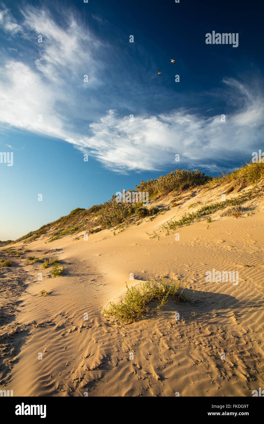 the beach at Port Gregory, West Australia Stock Photo Alamy