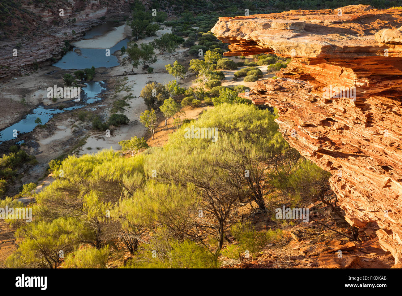 the Murchison River gorge from Natures Window, Kalbarri National Park, Western Australia Stock Photo