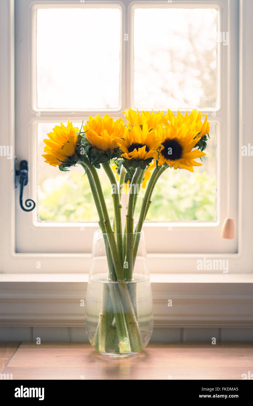 Window sill flowers hires stock photography and images Alamy