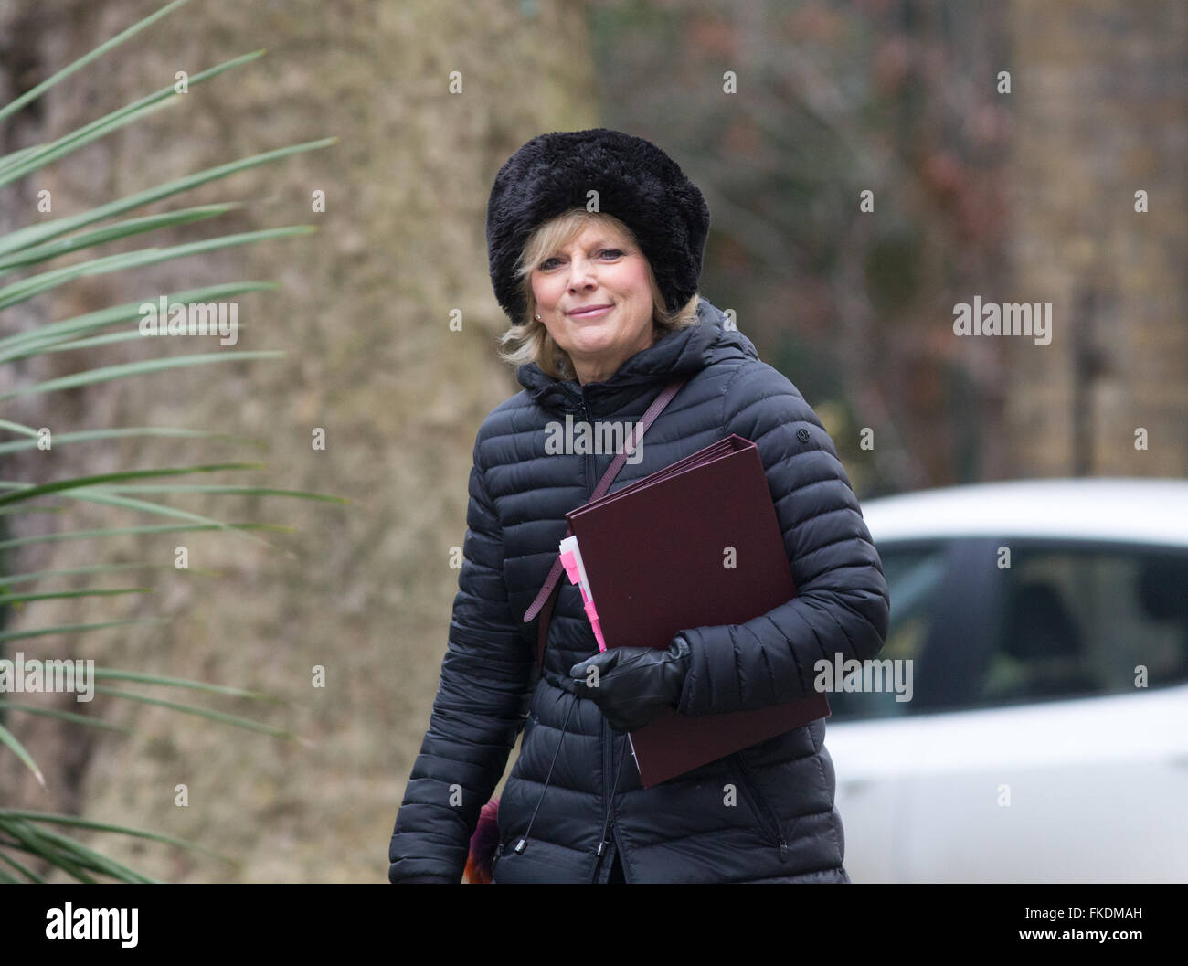 Anna Soubry,Minister for small business,Industry and Enterprise,at Number 10 Downing Street for a Cabinet meeting Stock Photo