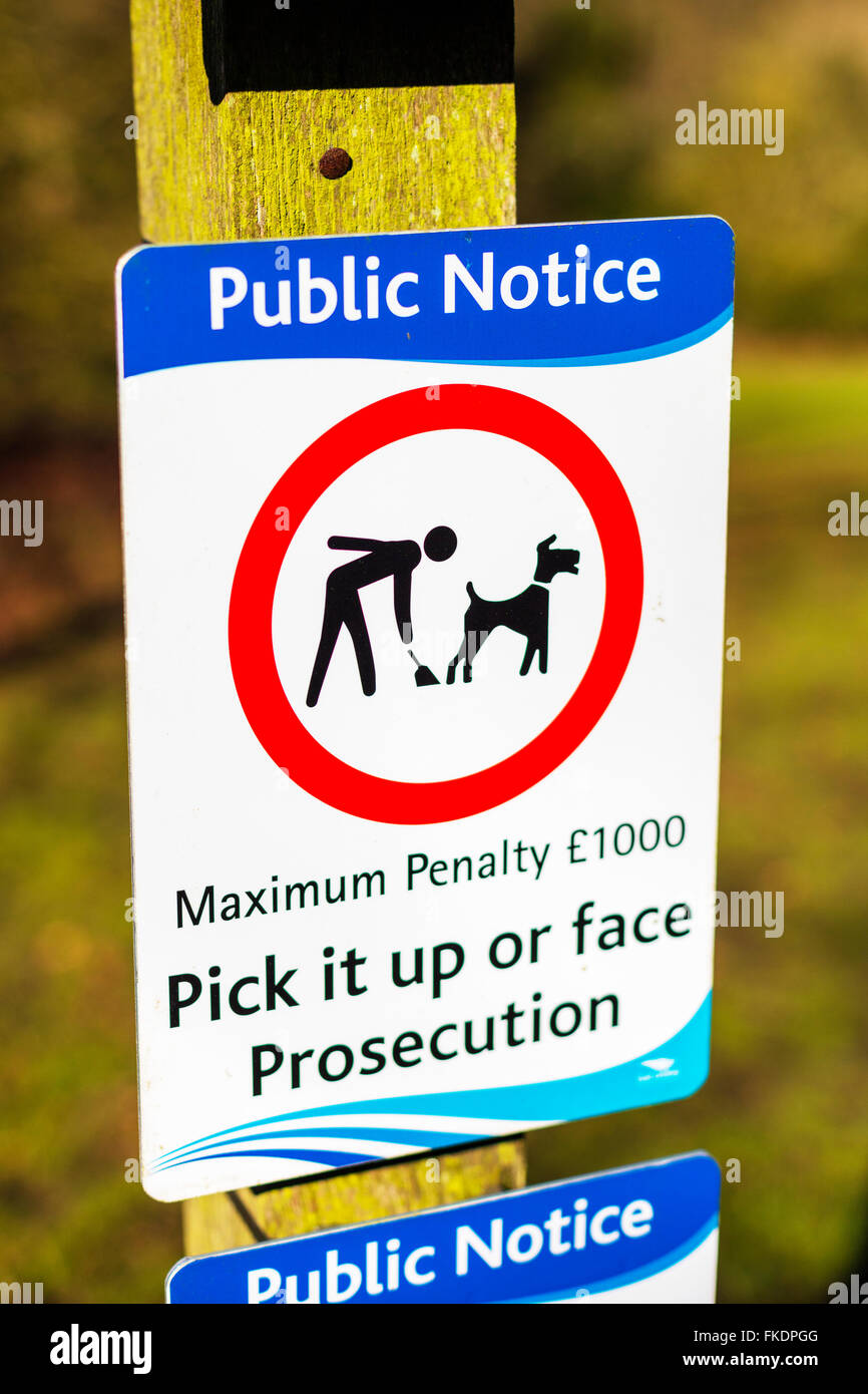 Is It Illegal Not To Pick Up Dog Poop Uk