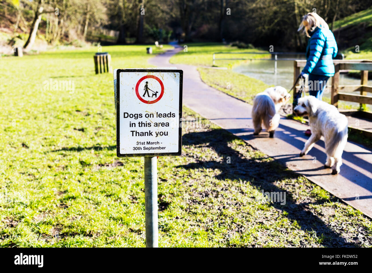dogs on leads sign lady walking dog walk lead park please obey by order
