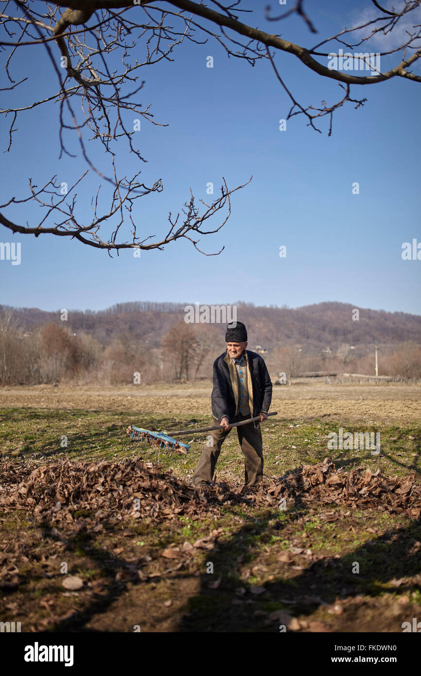 Using a rake hi-res stock photography and images - Alamy