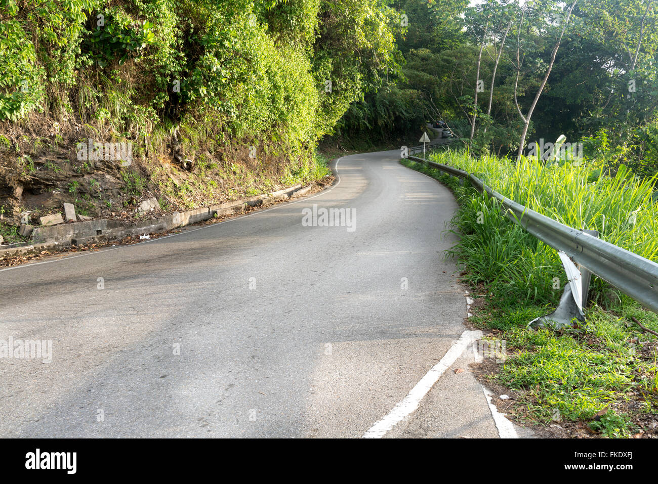 Road passing through forest, Trinidad, Trinidad And Tobago Stock Photo