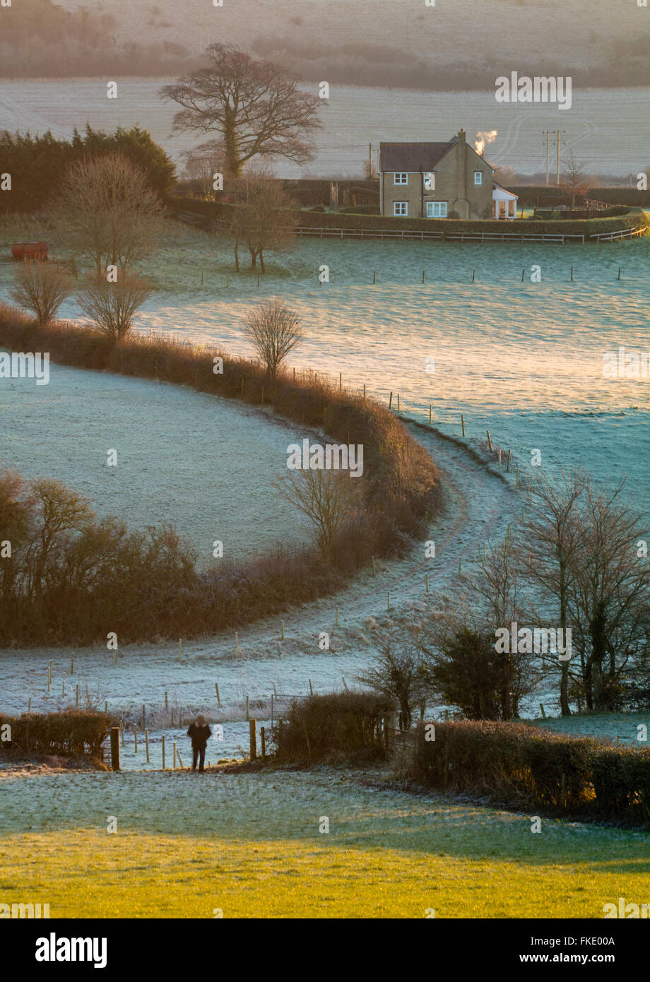 a frosty winter's morning near Milborne Port, Somerset, England, UK Stock Photo