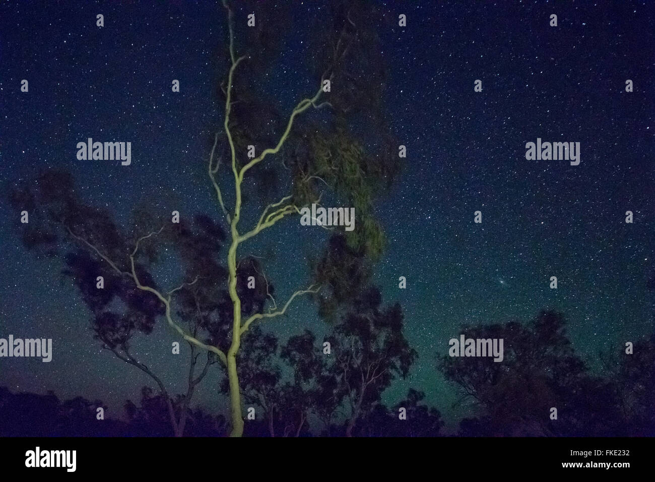 the night sky over the Pilbarra, Western Australia Stock Photo